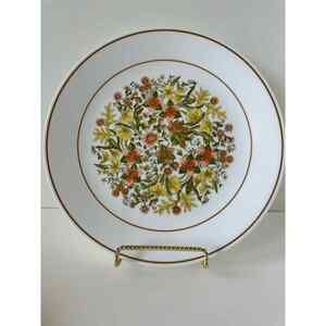 Vintage Corelle Indian Summer Dinner plate, 10.25 inch diameter, One Plate